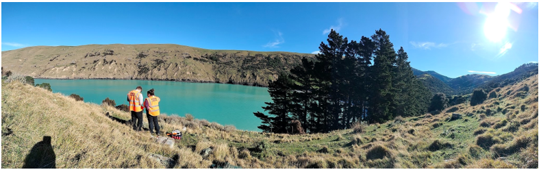 Panorama of the bay from sensitive area View from the hills on a penguin monitoring run with the Helps Pōhatu Conservation trust
